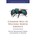 Common Bees of Western North America - Paperback