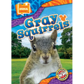 Gray Squirrels - Library Binding