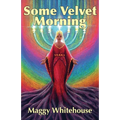 Some Velvet Morning: Another Tale Of The Blue Panda - Paperback