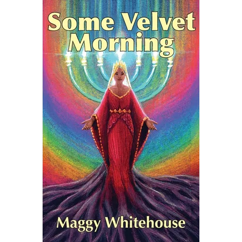 Some Velvet Morning: Another Tale Of The Blue Panda - Paperback