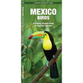 Mexico Birds: A Folding Pocket Guide to Familiar Species