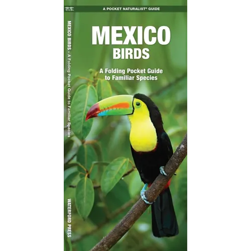 Mexico Birds: A Folding Pocket Guide to Familiar Species