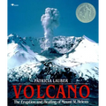 Volcano: The Eruption and Healing of Mount St. Helens - Paperback