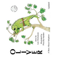 Oliver, A Story About Adoption - Updated - Paperback