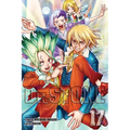 Dr. Stone, Vol. 17: Pioneers of Earth - Paperback