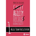 Agile Team Facilitator: A Coach's Path Towards Enterprise Agility - Paperback