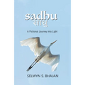Sadhu: A Fictional Journey into Light - Paperback