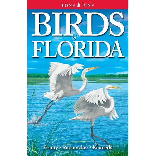 Birds of Florida - Paperback
