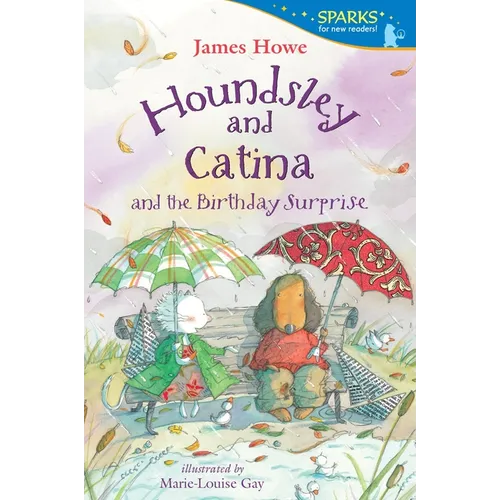 Houndsley and Catina and the Birthday Surprise - Paperback