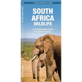 South Africa Wildlife: A Folding Pocket Guide to Familiar Animals - Paperback