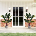 Artificial Rainbow Taro Tree 63" Tall with 11 Faux Leaves