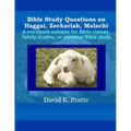 Bible Study Questions on Haggai, Zechariah, Malachi: A workbook suitable for Bible classes, family studies, or personal Bible study - Paperback