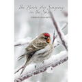 The Birds Are Singing In The Snow - Paperback