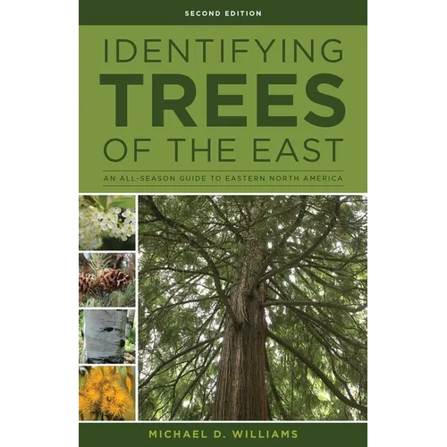 Identifying Trees of the East: An All-Season Guide to Eastern North America - Paperback