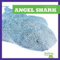 Angel Shark - Library Binding