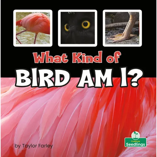 What Kind of Bird Am I? - Paperback