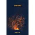 Sparks: Flashes of insight from the Buddha's fire - Hardcover