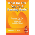 What Do You Say to a Burning Bush?: Sermons for the Season After Pentecost (Middle Third): Cycle a (First Lesson) - Paperback
