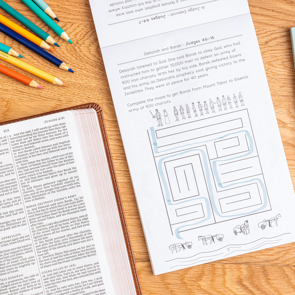 Bible Activity Book: Kingdoms and Captives