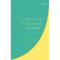 Why Does Inequality Matter? - Hardcover