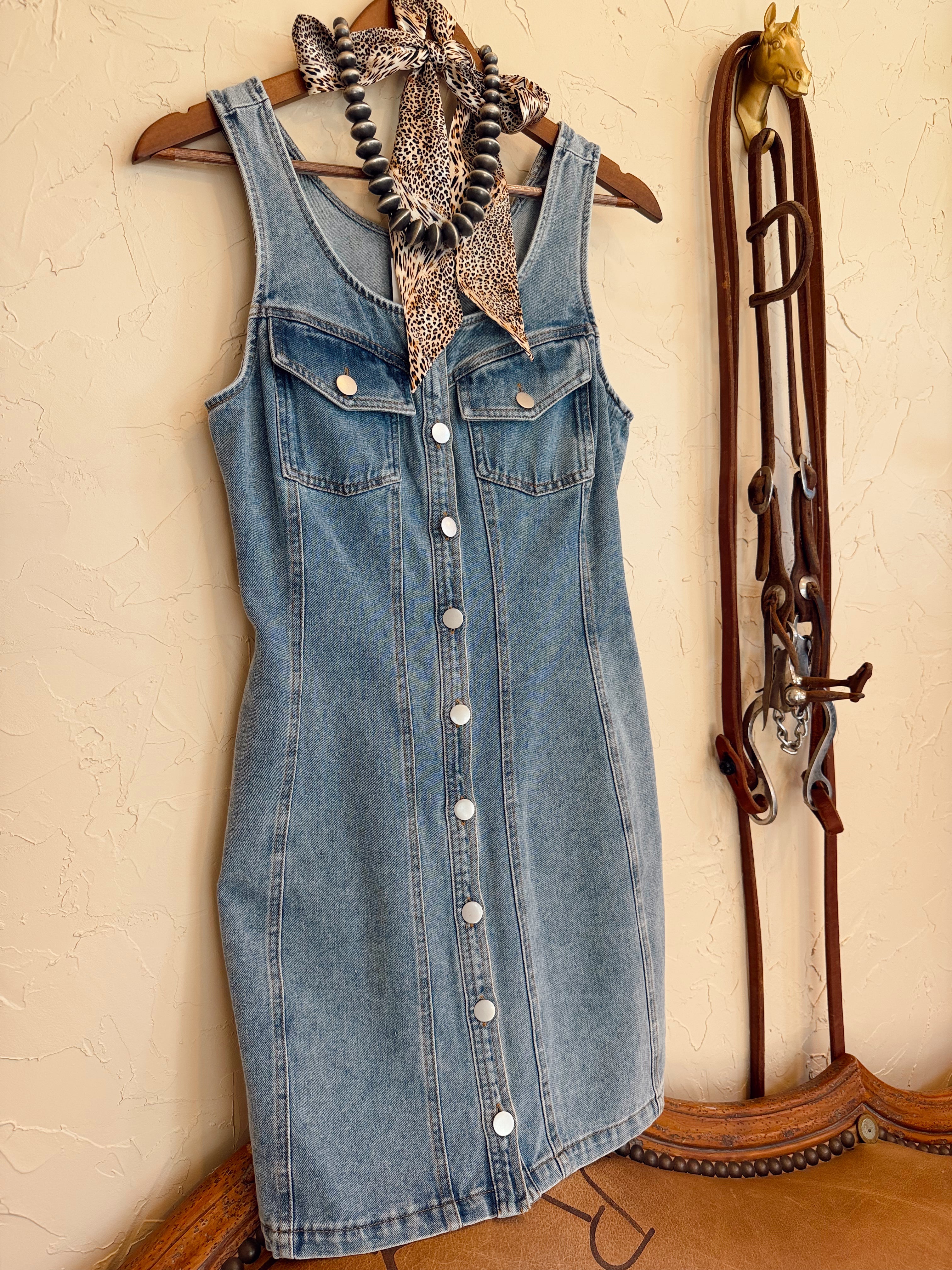 The Darian Denim Dress
