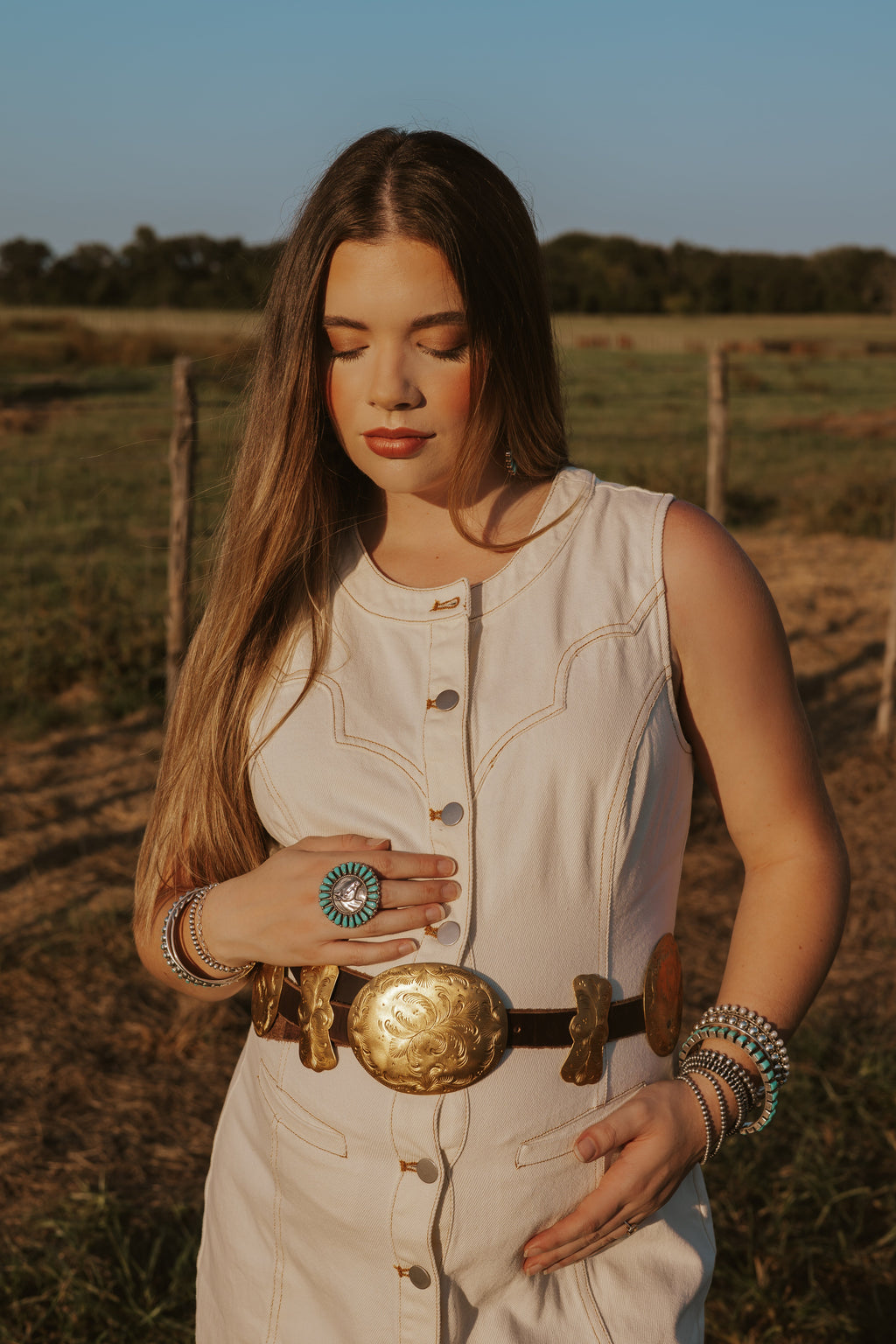 The Cordell Denim Dress- Extra Small