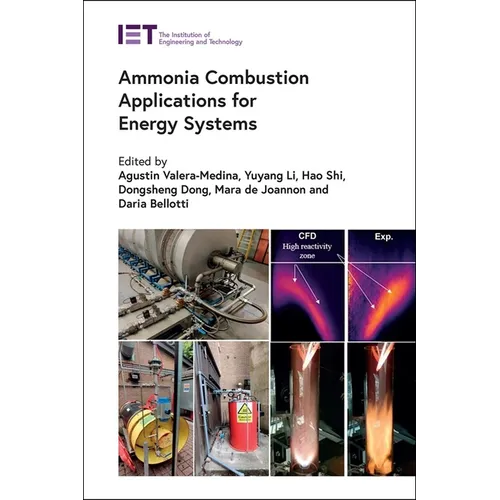 Ammonia Combustion Applications for Energy Systems - Hardcover