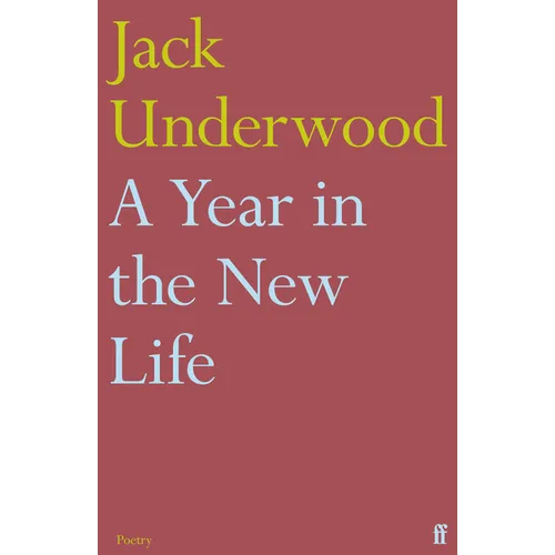 A Year in the New Life - Paperback