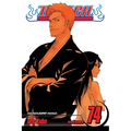 Bleach, Vol. 74: The Death and the Strawberry - Paperback
