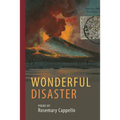 Wonderful Disaster - Paperback