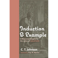 Induction and Example: A Rhetorical Exegesis in the Letter of Galatians - Paperback