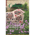 Colors: Tenements to Tammany an Irish Immigrants Tale - Paperback