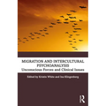 Migration and Intercultural Psychoanalysis: Unconscious Forces and Clinical Issues - Paperback