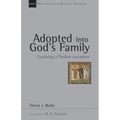 Adopted Into God's Family: Exploring a Pauline Metaphor Volume 22 - Paperback