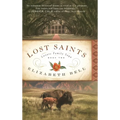 Lost Saints - Hardcover