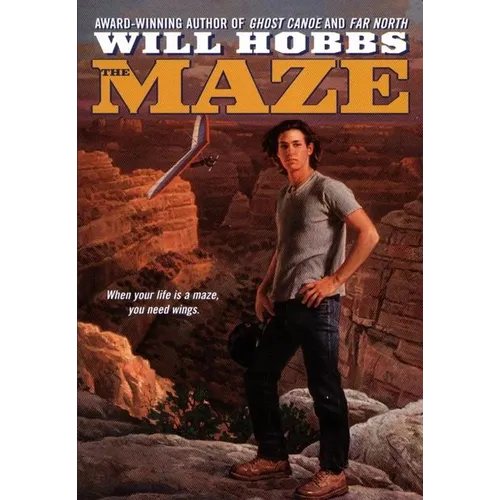 The Maze - Paperback