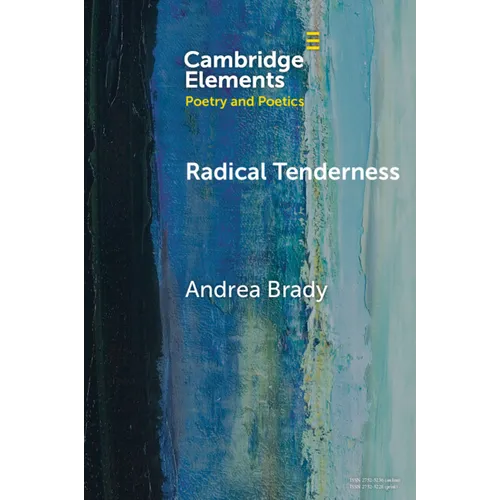 Radical Tenderness - Paperback