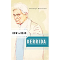 How to Read Derrida - Paperback