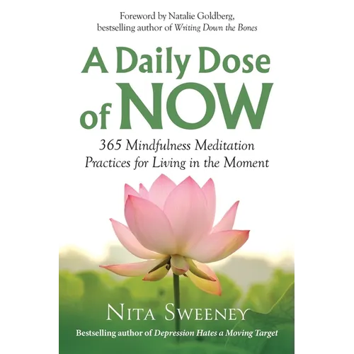 A Daily Dose of Now: 365 Mindfulness Meditation Practices for Living in the Moment - Paperback