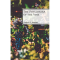 The Phylloxera of the Vine - Paperback