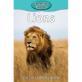 Lions - Paperback