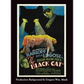 The Black Cat (hardback) - Hardcover
