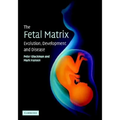 The Fetal Matrix - Evol Dev Disease - Paperback