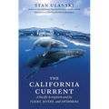 The California Current: A Pacific Ecosystem and Its Fliers, Divers, and Swimmers - Paperback