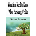What You Need to Know When Pursuing Wealth - Paperback