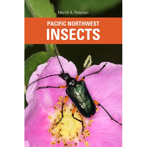 Pacific Northwest Insects - Paperback