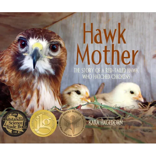 Hawk Mother: The Story of a Red-Tailed Hawk Who Hatched Chickens - Paperback