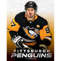 Pittsburgh Penguins - Library Binding