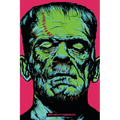 Frankenstein - Hardcover