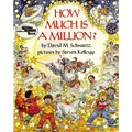 How Much Is a Million? - Paperback